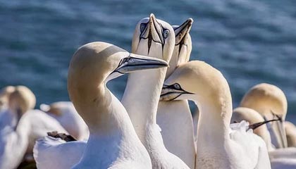 九游游戏中心-王楚钦带队参加国家集训封闭备战，王 楚钦