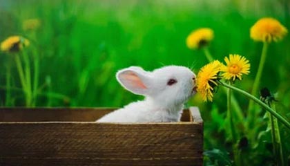 九游游戏中心-王楚钦带队参加国家集训封闭备战，王 楚钦